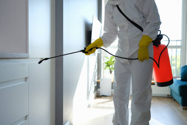 Best Mold Testing  in Eustace, TX