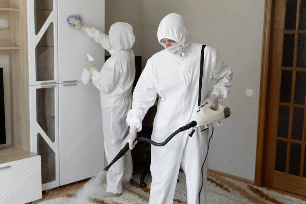 Best Attic Mold Removal  in Eustace, TX