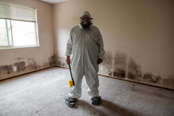 Best Professional Mold Removal  in Eustace, TX